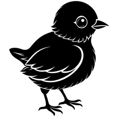 A baby bird Silhouette