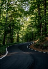 Obraz premium Winding asphalt road through a lush green forest canopy.