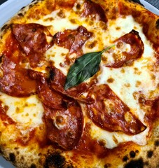 evocative image of a pizza made with spicy salami, 
tomato sauce, mozzarella and onions ready to be savored