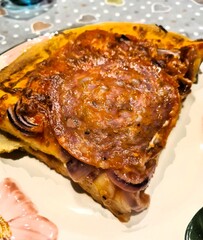 evocative image of a slice of homemade pizza made with spicy salami, 
tomato sauce, mozzarella and onions ready to be savored