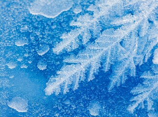 Fototapeta premium Frost Light Blue Wallpaper - Winter Nature Background