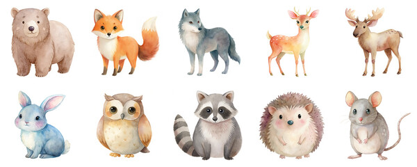 Cute woodland animals in watercolor illustration set. Collection featuring a variety of charming forest creatures isolated on transparent background.