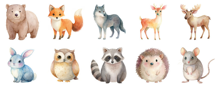 Fototapeta Cute woodland animals in watercolor illustration set. Collection featuring a variety of charming forest creatures isolated on transparent background.