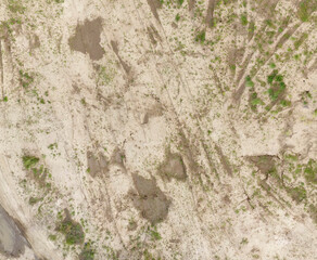 Texture of Sand Quarry Overgrown with Grass