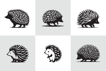 Hedgehog vector  © MDTOUFICKAHAMAD