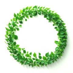 白背景の新緑のフレーム