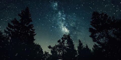 Fototapeta premium A breathtaking view of the Milky Way twinkling above silhouetted trees under a starry night sky.