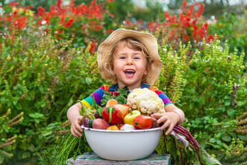 Child with vegetables in the garden. Selective focus.