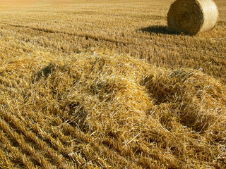 straw bales on a field © Robert