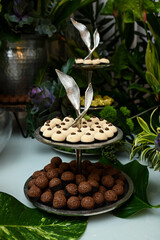 display with brigadeiro, decorative stainless steel tray, decorative stand, decorative tray with sweets, party sweets, sweets table, table with sweets, table with plants, decoration with plants

