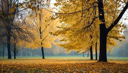 Autumn trees and scattered yellow leaves create a tranquil atmosphere