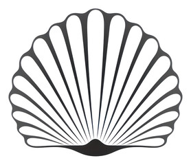 PNG Seashell clam logo invertebrate.