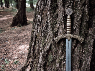Beautiful medieval sword with a bronze hilt against the background of trees in an autumn forest.