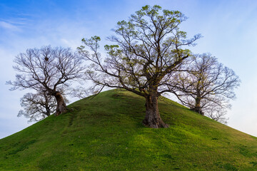 Royal tomb, called tumuli, at Gyeongju. The site is part of Unesco World Heritage called Gyeongju Historic Areas, in South Korea