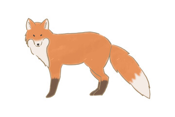 キツネの手書きイラスト