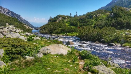 mountain river in the mountains