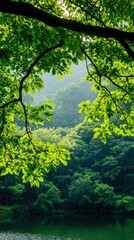 Obraz premium A tranquil landscape featuring lush green leaves and a serene lake, perfect for nature and relaxation themes.