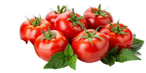 Juicy Tomatoes with Leaves Graphic on Isolated Background