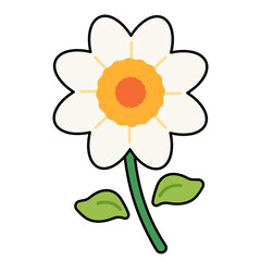 Daisy illustration