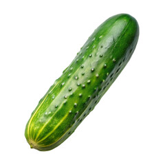 A green cucumber with bumps on transparent background