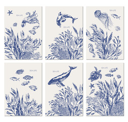 Sea life background in blue color with octopus, dolphin, whale, sea turtle, jellyfish, fish, seaweed plants