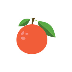 Vector fresh grapefruits icon. Grapefruit fruits on white isolated background. Grapefruits vector slices collection