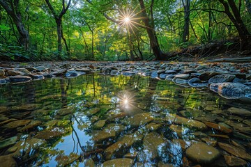 Fototapeta premium A serene and picturesque forest scene with sunlight streaming through the trees, reflecting on a calm and clear stream surrounded by lush greenery and scattered stones