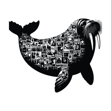 recommend clip art: silhouette of Walrus filled with vintage punk's poster collage wall in rough drawing,