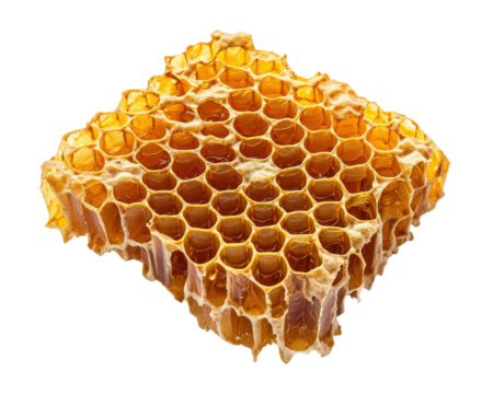 A honeycomb isolated on white transparent background