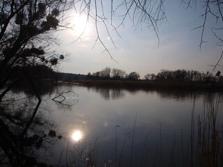 Scenery.  Evening on the river bank. Winter