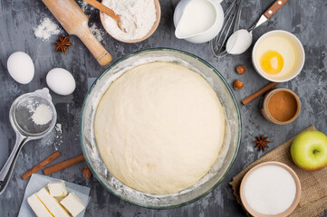 The process of making a pie. Ingredients, products and kitchen utensils for making apple and cinnamon pie. Top view, horizontal.