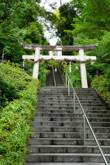 京都の神社の参道