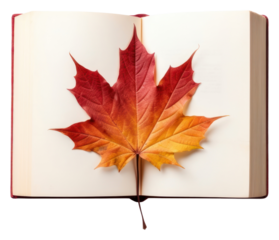 PNG Leaf autumn maple plant.