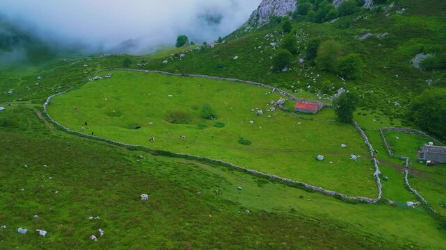 Fog in the spring landscape of pastures and Pasiegas cabins in the Natural Park of the Collados del As&oacute;n. Aerial view from a drone. Hills of Ason Natural Park. Soba Valley, Cantabria, Spain, Europe
