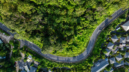 Asphalt rural road on mountain tropical rainforest green tree nature transport background