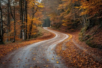 Fototapeta premium Winding road through dense forest with lush greenery and tall trees