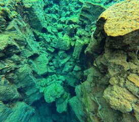 Silfra Snorkeling Pond, Iceland