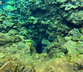 Silfra Snorkeling Pond, Iceland