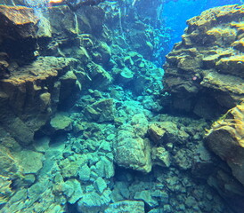 Silfra Snorkeling Pond, Iceland