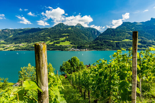 Scenery pastoral view around Quinten hamlet situated on north shore of Walensee, Switzerland, accessible by hiking or boat