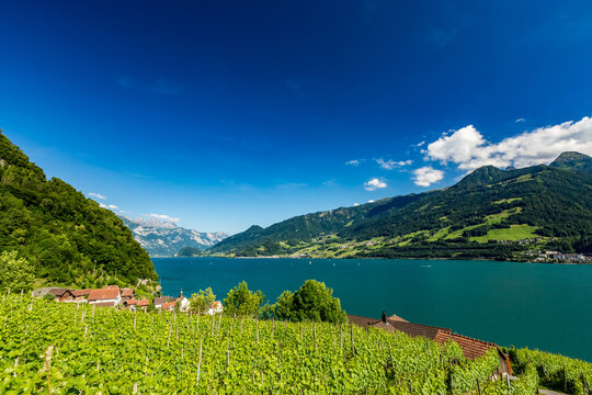 Scenery pastoral view around Quinten hamlet situated on north shore of Walensee, Switzerland, accessible by hiking or boat