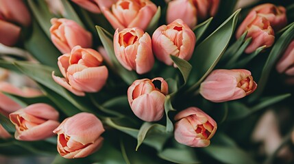 Close up of a bouquet of pink tulips.