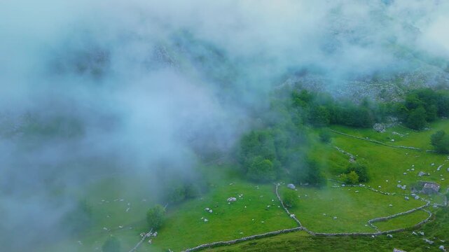 Fog in the spring landscape of pastures and Pasiegas cabins in the Natural Park of the Collados del As&oacute;n. Aerial view from a drone. Hills of Ason Natural Park. Soba Valley, Cantabria, Spain, Europe