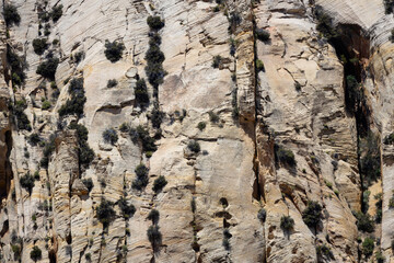 Background texture of sandstone cliffs