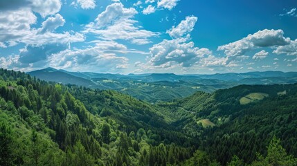 Fototapeta premium Scenic mountain forest landscape with trees and peaks