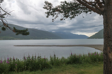 Lyngenfjord bei Nordkjosbotn