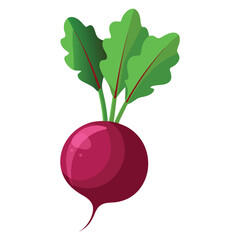 Beetroot isolated on white background. Beetroot flat icon.