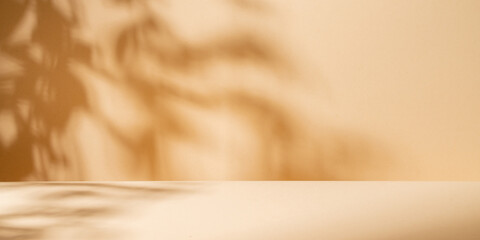 Stylish panoramic background with beige wall and tree shadows and empty product space.