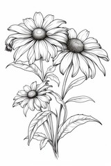 Black-Eyed Susan Tattoo Illustration