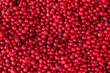 A pile of fresh lingonberries